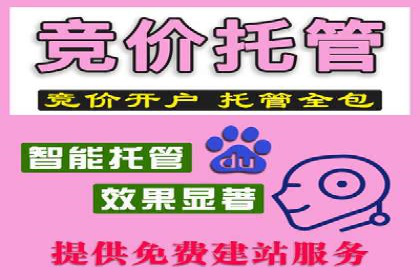 百度竞价公司运营策略：成功案例解析